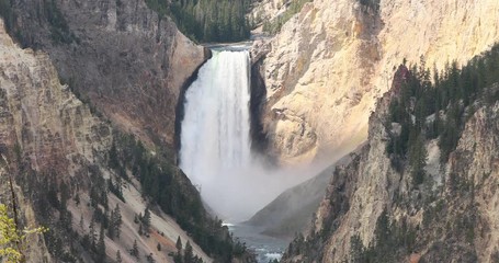 Yellowstone Lower Falls river grand canyon. Upper and Lower falls. National Park in Wyoming geothermal ecosystem environment. Biology, geography and ecology. Millions of tourist and visitors.