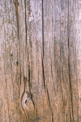 Fence from old weathered pine boards. Texture of natural aged wood. Woodworm holes, rusty nails. Creative vintage background.