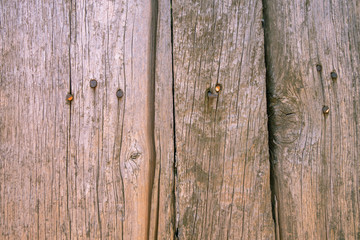 Fence from old weathered pine boards. Texture of natural aged wood. Woodworm holes, rusty nails. Creative vintage background.