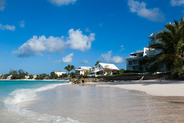 Worthing beach with palms  Babrbados on a sunny day.
