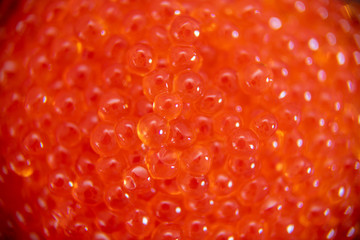 Red caviar in the glass jar close up macro