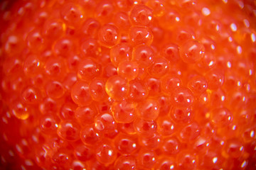 Red caviar in the glass jar close up macro