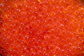 Red caviar in the glass jar close up macro