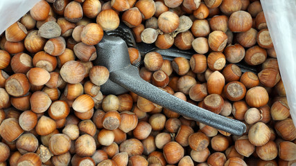 nut crushing apparatus and many shelled nuts, close-up,