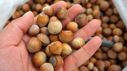 close-up of shelled nuts, large amounts of shelled nuts