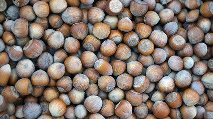 shelled nuts, large amounts of shelled nuts,