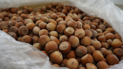 close-up of shelled nuts, large amounts of shelled nuts