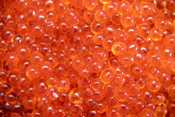 Red caviar close up background