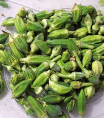 To pull off the okra plant, fresh okra plant, okra plant planted in the garden, natural okra plant,
