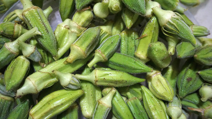 To pull off the okra plant, fresh okra plant, okra plant planted in the garden, natural okra plant,