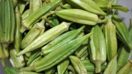 To pull off the okra plant, fresh okra plant, okra plant planted in the garden, natural okra plant,