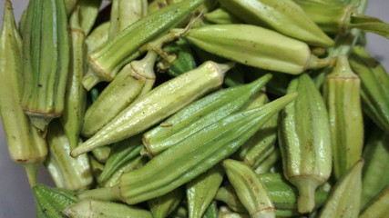 To pull off the okra plant, fresh okra plant, okra plant planted in the garden, natural okra plant,
