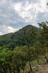Fototapeta premium cerros