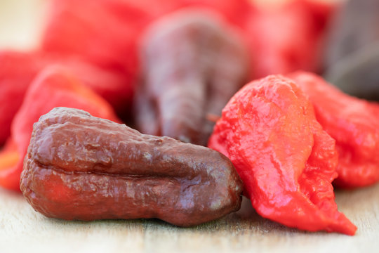 The 'world's hottest chilli' makes debut at Chelsea Flower Show Chelsea flower s