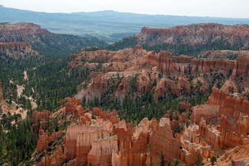 Wide view over Bryce Canyon with hoodoos and trees