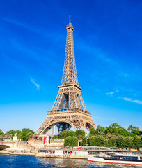 Fototapeta na wymiar 世界遺産　パリのセーヌ河岸　エッフェル塔　縦位置