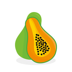 Papaya vector illustration isolated on white background. Papaya fruit clip art