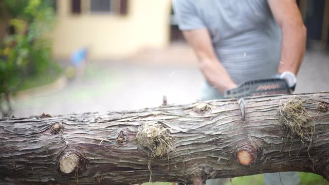 Family man cutting the trunk of a pine tree with a  chain saw in the garden of the house to make firewood.