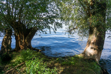 Idyllic view of Grunewald, Havelhöhenweg, Berlin, Germany on a sunny day
