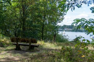 Fototapeta premium Idyllic view of Grunewald, Havelhöhenweg, Berlin, Germany on a sunny day