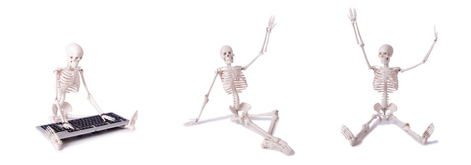 Funny Skeleton working on computer