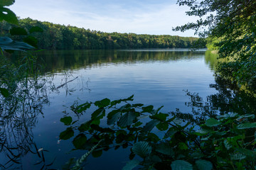 Idyllic view of Grunewald, Havelhöhenweg, Berlin, Germany on a sunny day