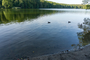 Idyllic view of Grunewald, Schlachtensee, Berlin, Germany on a sunny day