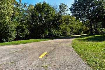 Obraz premium road in the middle of park