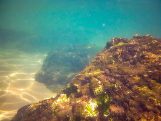 Fototapeta na wymiar Under the sea