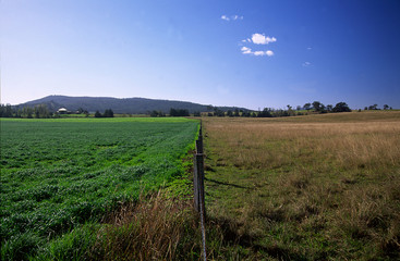 The other man's grass is always greener. Australia.