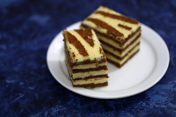 Two pieces of striped cake on a plate. Black-white cake. Dessert Zebra. Selective focus. macro.