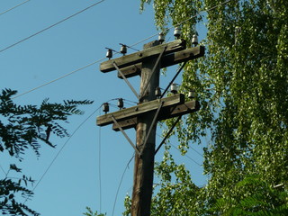 Electric pole from the last century, with dangling wires.