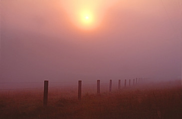 Paddock fence disappearing into the foggy sunrise. Australia.