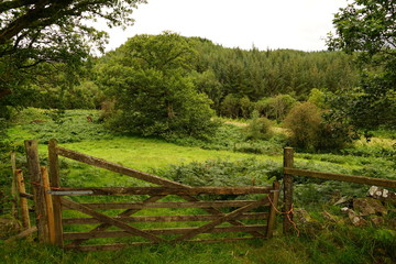 Rural Stone and Wood Farm Fence and Gate