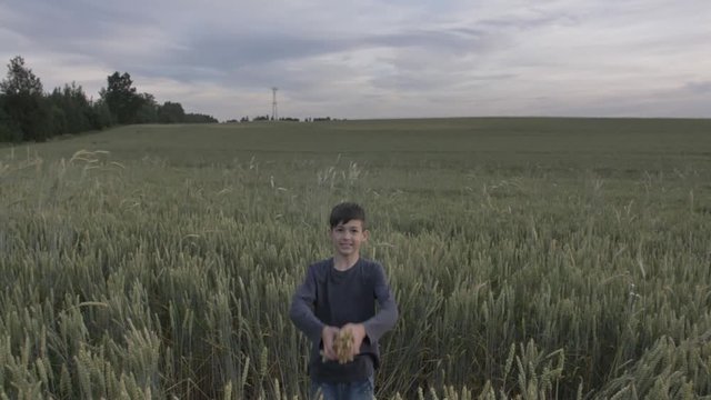 funny boy throws up wheat ears in the field in the evening, slow motion