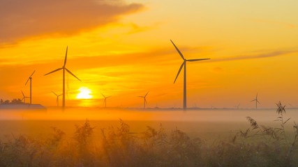 Sun shines on wind turbines in a foggy field at sunrise in summer