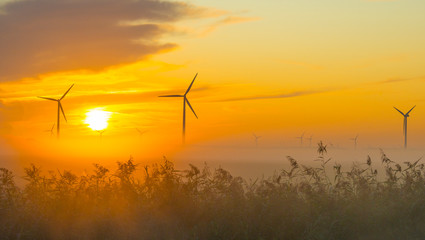 Fototapeta na wymiar Sun shines on wind turbines in a foggy field at sunrise in summer