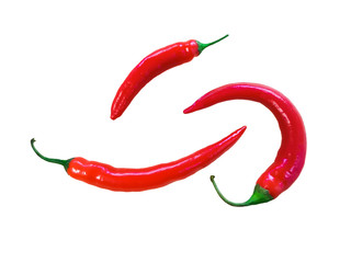 red chilli in white background