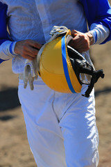 Fototapeta premium Horse racing at the track details