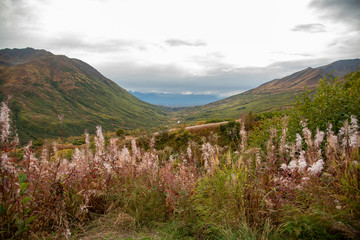 Alaska in the Fall 2