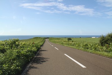 road in the field
