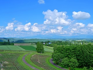Fototapeta premium 十勝連峰をバックに広がる広大な大地の情景＠富良野、北海道