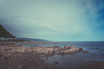 Wellington, New Zealand Nature Landscape; vintage style
