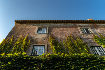 old house with creeper