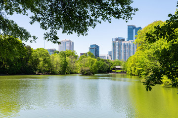 Cityscape, skyline view in Piedmont Park in Atlanta, Georgia looking through trees scenic water,...