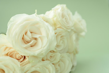 Fototapeta na wymiar Close-up of a bouquet of cream roses 