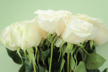 Close-up of a bouquet of cream roses .