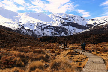 Tongariro crossing in winter,mount ngauruhoe, the great walk, New Zealand