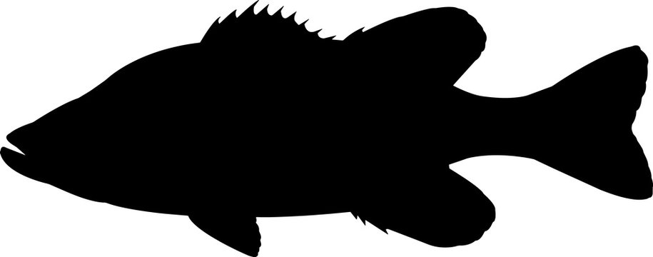 Fish Silhouette Images – Browse 453,212 Stock Photos, Vectors, and Video