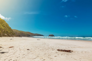 Big empty Allans beach near Dunedin, New Zealand